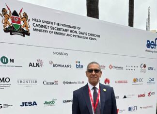 Monie Captan Stress: Capacity Building is Cardinal for Africa’s Energy Industry Monie Captan