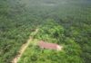 How a Private Palm Plantation fails on promises to citizens  in South Eastern Liberia