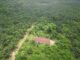 How a Private Palm Plantation fails on promises to citizens in South Eastern Liberia