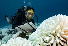 Ocean heat record broken, with grim implications for the planet Heat record