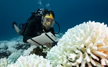 Ocean heat record broken, with grim implications for the planet Heat record