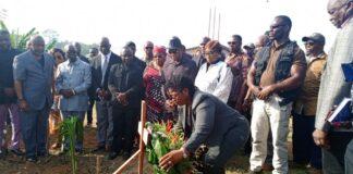 President-elect Boakai wants  Investigation into Totota Tanker Explosion Totota Explosion