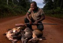 Search Intensifies for Renowned Hunter Missing in Grand Gedeh Yarkpawolo Kollie