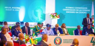 West African bloc risks ‘disintegration’ if juntas quit