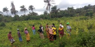 WOCI, Partners Contribute To Responsible Agricultural Investment In Bomi County Through  Low-Land Farming Initiative