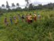 WOCI, Partners Contribute To Responsible Agricultural Investment In Bomi County Through Low-Land Farming Initiative