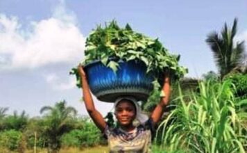 Map Liberia Land Platform and partners to host second National Land conference Photo©: Agro-Tech Business-LIB