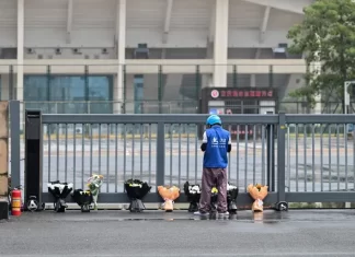 China executes man for car rampage that killed dozens