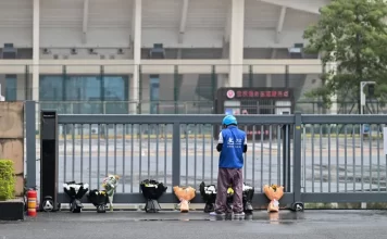 China executes man for car rampage that killed dozens