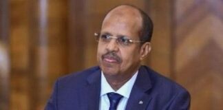 Djibouti’s Mahmoud Ali Youssouf Elected African Union Commission Chairperson Amid Growing Continental Challenges