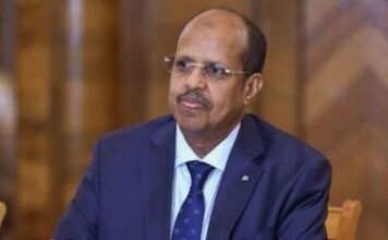 Djibouti’s Mahmoud Ali Youssouf Elected African Union Commission Chairperson Amid Growing Continental Challenges