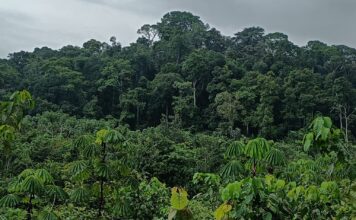 Multinational Stakeholders to Review Payment for Stewardship Project Proposed Krahn Bassa Forest