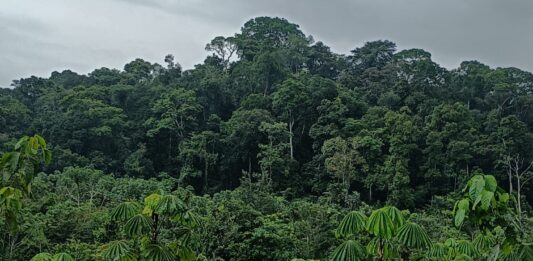 Multinational Stakeholders to Review Payment for Stewardship Project Proposed Krahn Bassa Forest