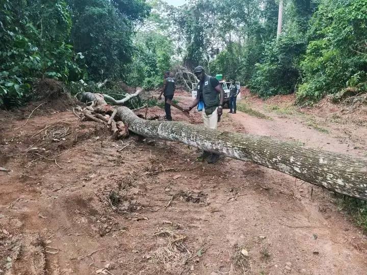 EPA Liberia