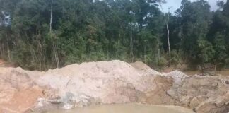 Liberia’s Environmental Agency shuts down Chinese Liberian-owned mining cooperation over illicit activities