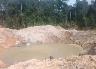 Liberia’s Environmental Agency shuts down Chinese Liberian-owned mining cooperation over illicit activities