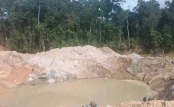 Liberia’s Environmental Agency shuts down Chinese Liberian-owned mining cooperation over illicit activities