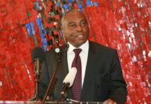 African People’s Party – Côte D’Ivoire vice president to contest October presidential election
