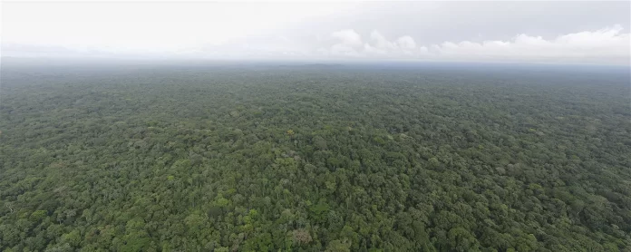 Sapo National Park aerial view