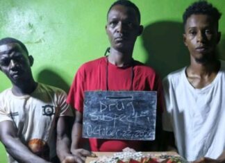 Five Drug Suspects Transferred to Zwedru Palace of Corrections Amid Nationwide Crackdown Drug suspect in Zwedru