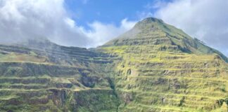 Liberia Conservation Fund, Partners Launch Conservation Grant to Empower East Nimba Nature Reserve East Nimba