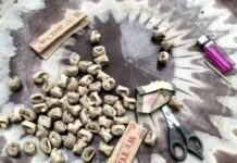 Liberia’s Drug Enforcement Agency Cracks Down on Narcotics Networks in Grand Gedeh Narcotics In Liberia