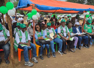Light at Last: Lofa county Looks to a brighter future with new Solar Electrification Project