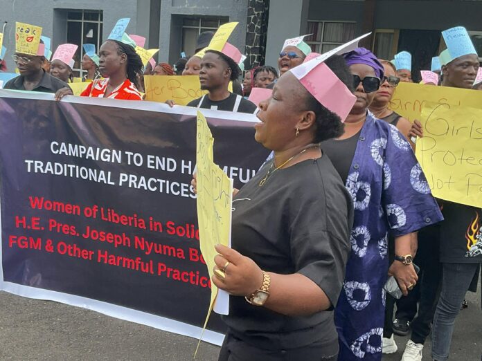 Liberian Campaigners at the Liberian legislature