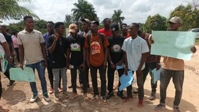 Grand Gedeh University Student