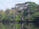 Liberia’s Wetlands are being Daggered Massively: What is EPA Doing?