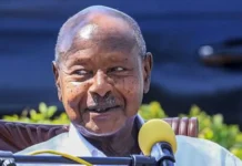 Opposition supporters killed in overnight clashes as Uganda president takes election lead Uganda election 2026