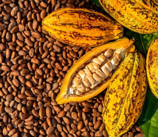 Côte d’Ivoire Cocoa Fund Mismanagement Sparks Strike Threat from Producers