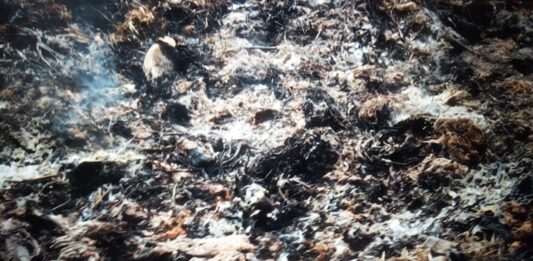 Paynesville City Corporation and Partners Raise Awareness on Open Burning in Wood Camp Community Open burning awareness