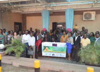 Liberia Crafts Roadmap for Zero-Deforestation Cocoa production Amid Rising Migration Pressures WCF Cocoa