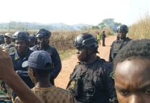 Liberia–Guinea Border Tensions Ease After Security Deployment