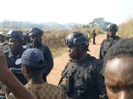 Liberia–Guinea Border Tensions Ease After Security Deployment