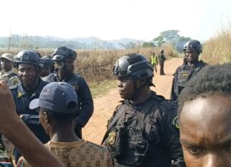 Liberia–Guinea Border Tensions Ease After Security Deployment