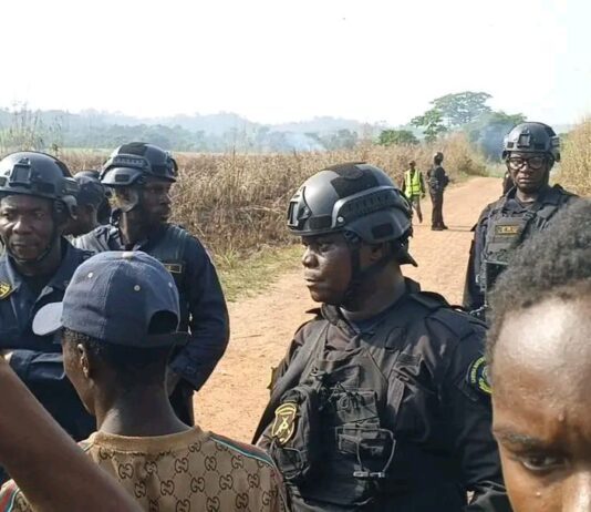 Liberia–Guinea Border Tensions Ease After Security Deployment