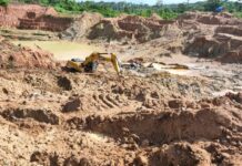 Two Killed After Tree Branch Crashes on Tent During Storm at Grand Gedeh Mining Camp