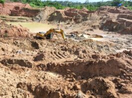 Two Killed After Tree Branch Crashes on Tent During Storm at Grand Gedeh Mining Camp