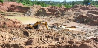 Two Killed After Tree Branch Crashes on Tent During Storm at Grand Gedeh Mining Camp