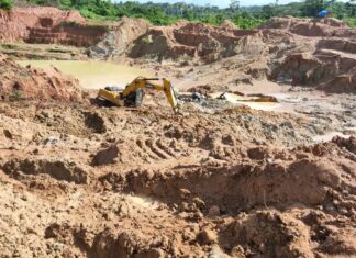 Two Killed After Tree Branch Crashes on Tent During Storm at Grand Gedeh Mining Camp