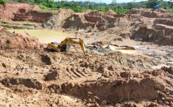 Two Killed After Tree Branch Crashes on Tent During Storm at Grand Gedeh Mining Camp