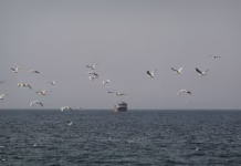 Iran threatens to retaliate against Gulf ports for US blockade