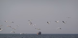 Iran threatens to retaliate against Gulf ports for US blockade