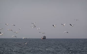 Iran threatens to retaliate against Gulf ports for US blockade