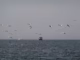 Iran threatens to retaliate against Gulf ports for US blockade