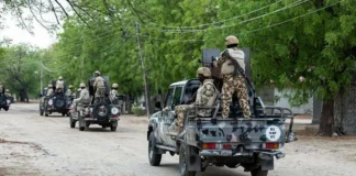 Joint US-Nigeria strike eliminates senior IS figure