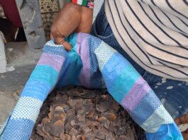 EU-supported Wildlife Crime Taskforce Seizes 735.5 kg of Pangolin Scales Pangolin scales seized in Liberia