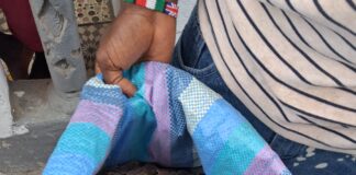EU-supported Wildlife Crime Taskforce Seizes 735.5 kg of Pangolin Scales Pangolin scales seized in Liberia